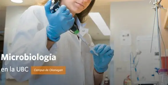 Licenciaturas Universitarias con Beca: Titulo: Ciencias de la salud y de la vida. Especialidad: Microbiología | Sitio Web Oficial Becas.org.es