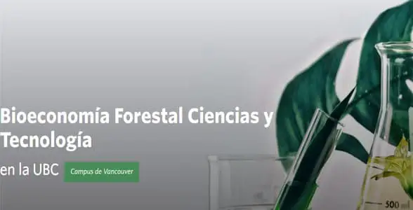 Licenciaturas Universitarias con Beca: Titulo: Ingeniería y Tecnología: Bioeconomía Forestal Ciencias y Tecnología | Sitio Web Oficial Becas.org.es