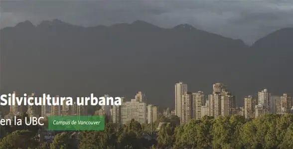 Licenciaturas Universitarias con Beca: Tierra, medio ambiente y sostenibilidad: Silvicultura urbana | Sitio Web Oficial Becas.org.es